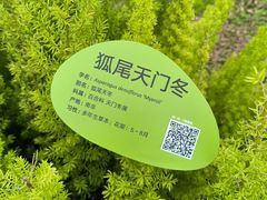 -云溪植物园