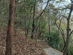 -紫金山天文台