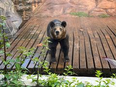 -海南热带野生动植物园
