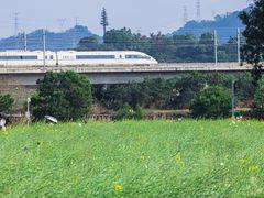 -光明小镇欢乐田园