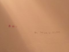 -京津新城温德姆至尊酒店(珠江大道店)