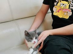 -lincat·猫舍(广州店)