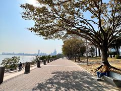 -深圳湾公园(南山区)