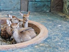 -欢乐水魔方水世界