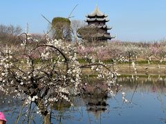 -上海海湾国家森林公园