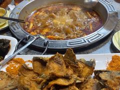 -八次方巴乡石锅鱼·金海湖水库活鱼(谷丰东路店)