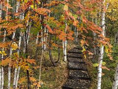 -莫尔道嘎国家森林公园