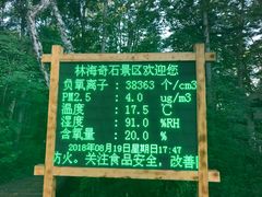 -汤旺河林海奇石景区