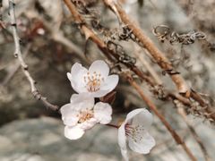 -济南国际园博园