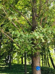 -大望京儿童游乐场