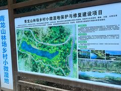 -青龙山国家森林公园