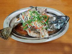 -天鹅到家·保姆月嫂育儿嫂(蔚蓝海岸店)
