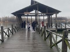 -溱湖国家湿地公园