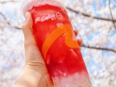 -CoCo都可(虹口龙之梦店)