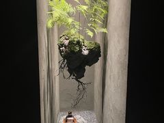 -固元堂(摩方分院)