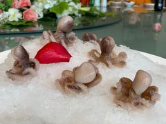 -柒加海鲜姿造