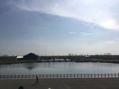 -盐城丹顶鹤湿地生态旅游区