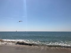 -海云台海滩