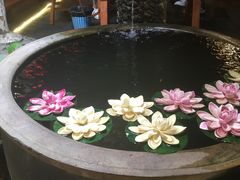 -三道苗苗鱼·美蛙黄辣丁(八里店)