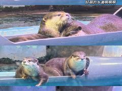 -正佳极地海洋世界