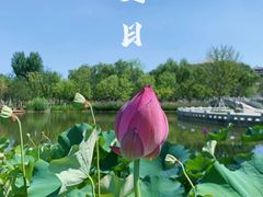 -西安博物院