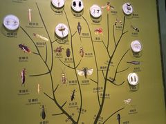 -天津自然博物馆