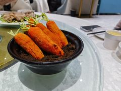 -丁老爷子苏香圆