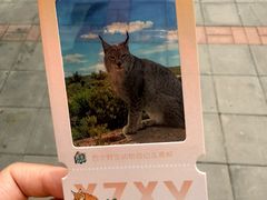 -青藏高原野生动物园