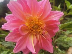 -蔡林记(创意天地店)