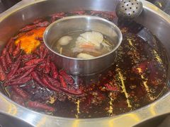 -肥龙火锅(南坪店)