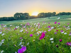 -银涛高尔夫练习场(徐泾店)