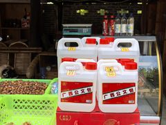 -广西壮族自治区博物馆