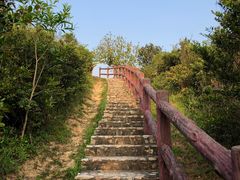 -南丫岛