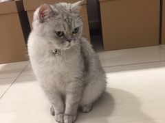 -Oasis绿洲银饰珍珠手作diy(壹方城店)