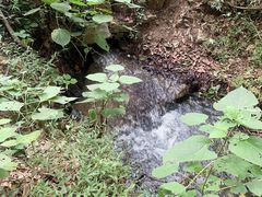 -同里国家湿地公园