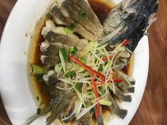 -煲来饱去冷水鱼