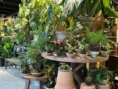 -自由生长植物工作室(深港花卉中心店)