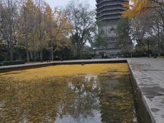-玲珑塔公园
