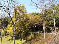 -广州市白云山风景名胜区
