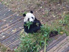 -黔灵山公园