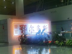 -鄂尔多斯伊金霍洛国际机场