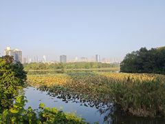 -月湖风景区