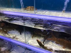 -盒马鲜生(联投广场店)