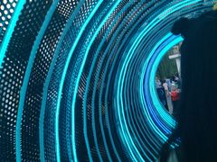 -锦江乐园舞狸花花游园会(夜场专享)