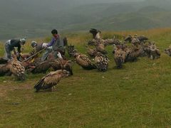 -达仓郎木寺院