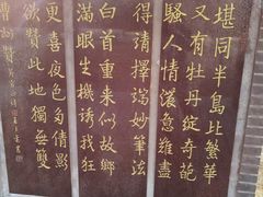 -曹州牡丹园