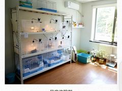 -北京观赏动物医院·24小时大型综合·猫专科·异宠专科
