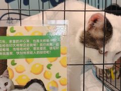 -北京望京万象汇