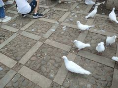 -昆明动物园
