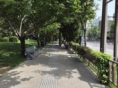 -西安曲江寒窑遗址公园